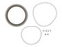 JLG Part # 106119GT | GN-SEAL KIT, EA