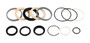 JLG Part # 101254GT | GN-SEAL KIT, PLTFM LEVEL CYL, EA