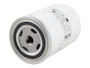 JLG Part # 04132775DTZ | DTZ-FUEL FILTER,SECONDARY, EA