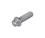 JLG Part # 1148954DTZ | DTZ-TORX HD BOLT, EA