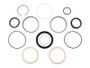 JLG Part # 226803GN | GN-NONOEM,KIT,SEAL,AXLE EXTEND, EA