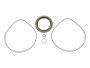 JLG Part # 29288GT | GN-KIT,SEAL, EA