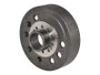 JLG Part # 4475338036ZF | ZF-RING GEAR, EA
