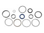 JLG Part # 56756GTGN | GN-KIT,SEAL 42409 ELE 3155, EA