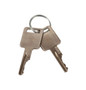 JLG Part # 58322 | GN-KEY,SET(2)IGN, EA