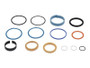 JLG Part # 59050GT | GN-SEAL KIT, EA