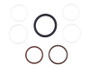 JLG Part # 62339GT | GN-KIT SEAL, EA