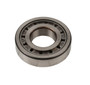 JLG Part # 7-126-484GTGN | GN-BEARING-ROLLE, EA