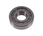 JLG Part # 7-126-494 | GN-BEARING, EA