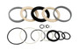JLG Part # 77528GTGN | GN-SEAL KIT, EXT CYL, EA