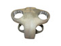 JLG Part # LL-2989-111PT | PT-CENTER YOKE, EA