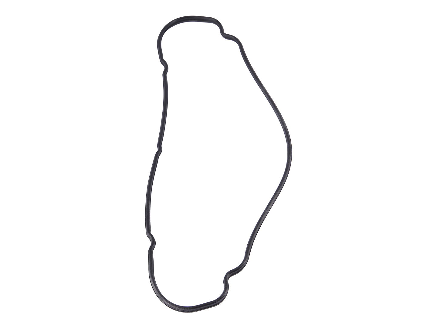 JLG Part # 2749410003 | VALVE COVER GASKET, EA