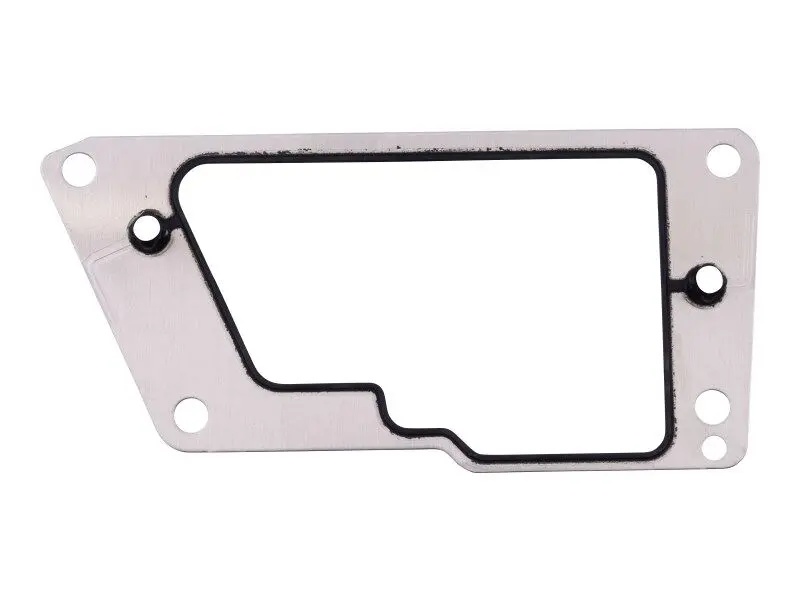 JLG Part # 04135384DTZ | GASKET, COOLANT PUMP, EA