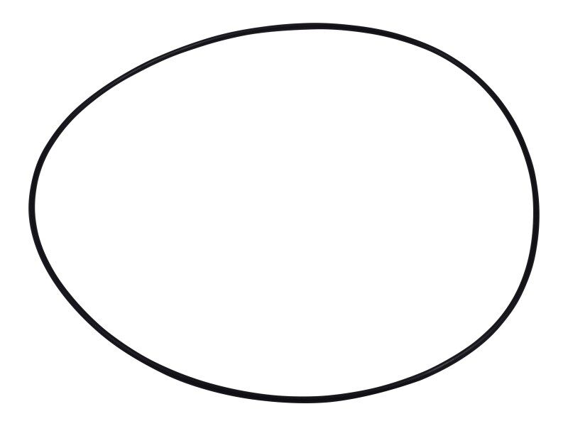 JLG Part # 1001248720 - O'RING,SEAL FITTING, EA