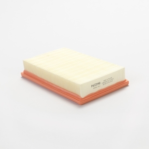 Genie Lift Part # P622148DFS-1 - AIR FILTER, PANEL, EA