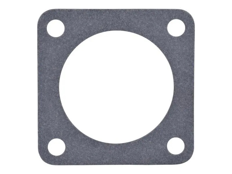 JLG Part # Z32502213 | GM-GASKET, THROTTLE BODY, EA