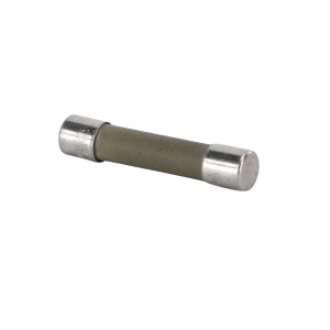 Genie Lift Part # 23084GT - FUSE,30 AMP,TIME DELAY, EA