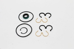 Genie Lift Part # 43685GT - SEAL KIT,LIFT PUMP,BARNES**, EA