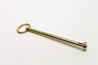 ꕤ Aidelaꕤ Capital Lighting 449301MA Matte Brass Elora 12 Light 35