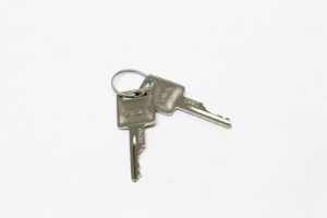 Genie Lift Part # 56.0017.0015GT - KEY, EA