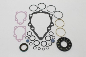 Genie Lift Part # 65865GT - SEAL KIT, SUNSTRAND, EA