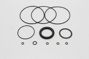 Genie Lift Part # 75116GT - SEAL KIT,TURNTABL.ROT.MOTOR*, EA