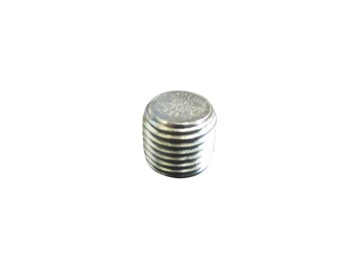 JLG Part # 2200222 | FITTING PIPE PLUG .25 SOC HD, EA