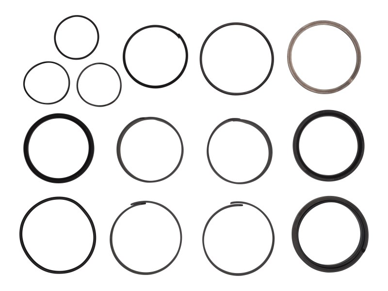 JLG Part # 2902081 | KIT, SEAL 1350SJP TELE CYL, EA