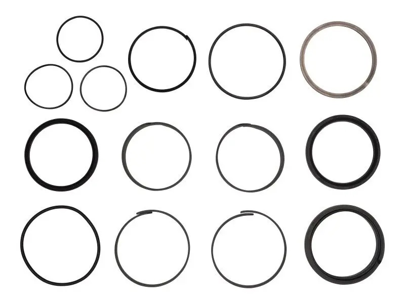 JLG Part # 2902081 | KIT, SEAL 1350SJP TELE CYL, EA