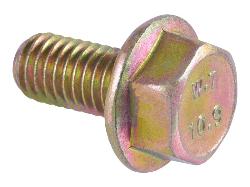 JLG Part # 5250808 | BOLT,METRIC HEX FLANGE,8X16MM, EA