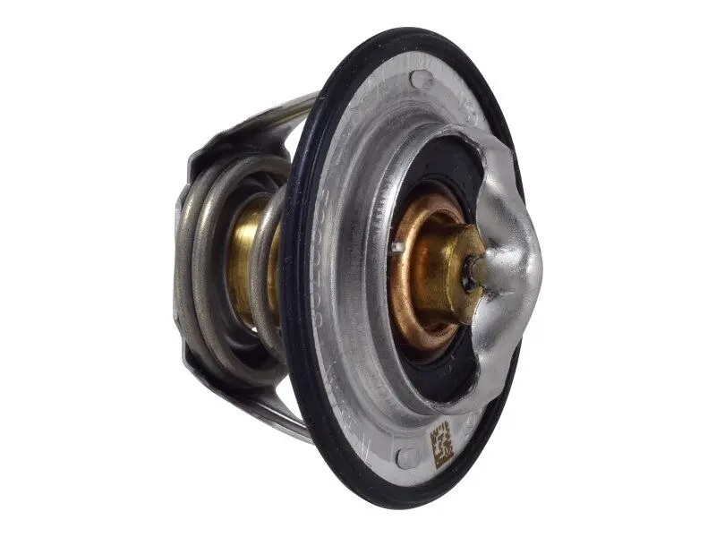 JLG Part # 70024313 | THERMOSTAT KIT, EA