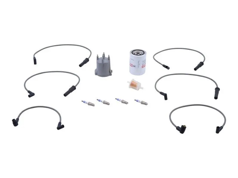JLG Part # 7014679 | TUNE-UP KIT - FORD LSG423, EA