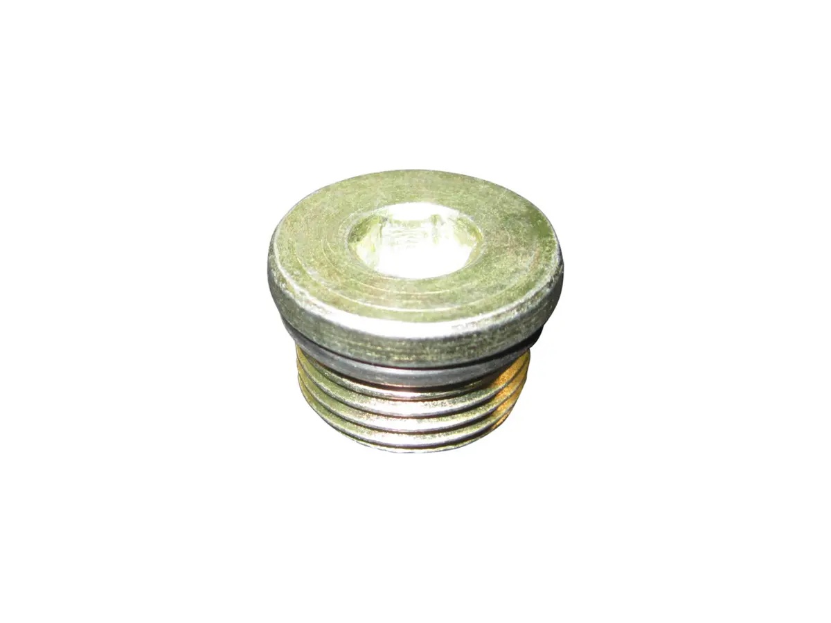JLG Part # 7017094 | PLUG, PIPE MAGNETIC "O"RING, EA