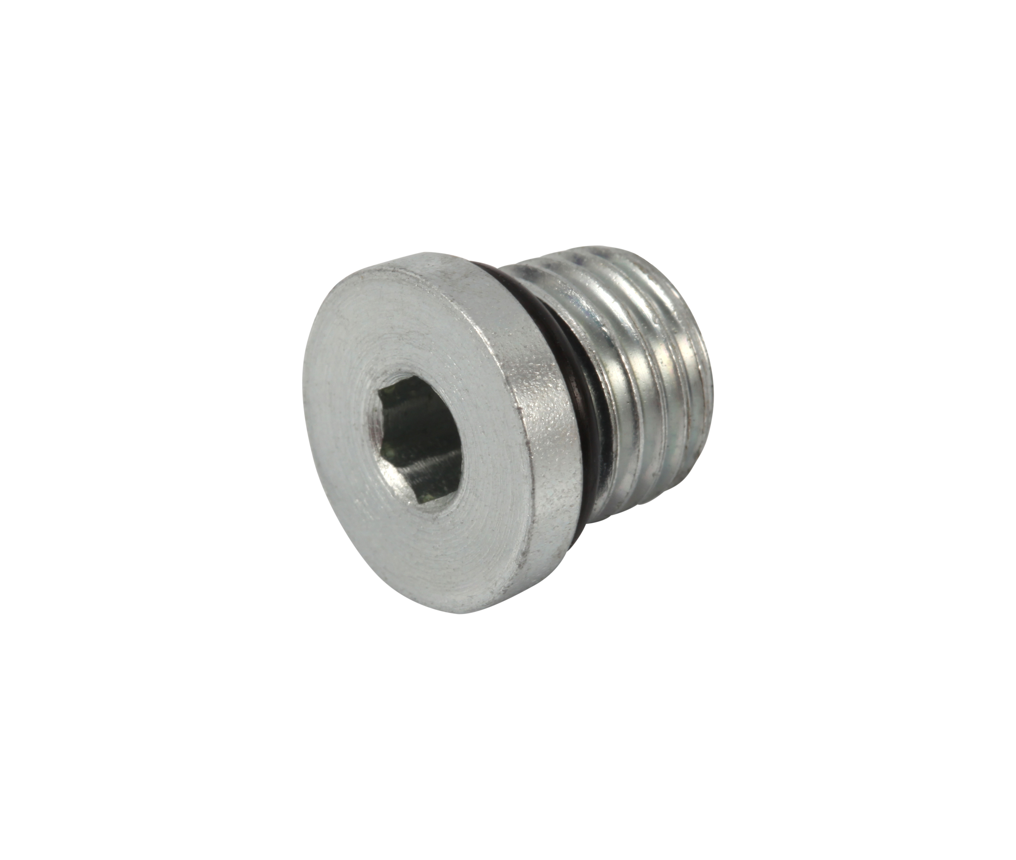JLG Part # 7022229 | PLUG, PLUMBING - CHECK VALVE, EA