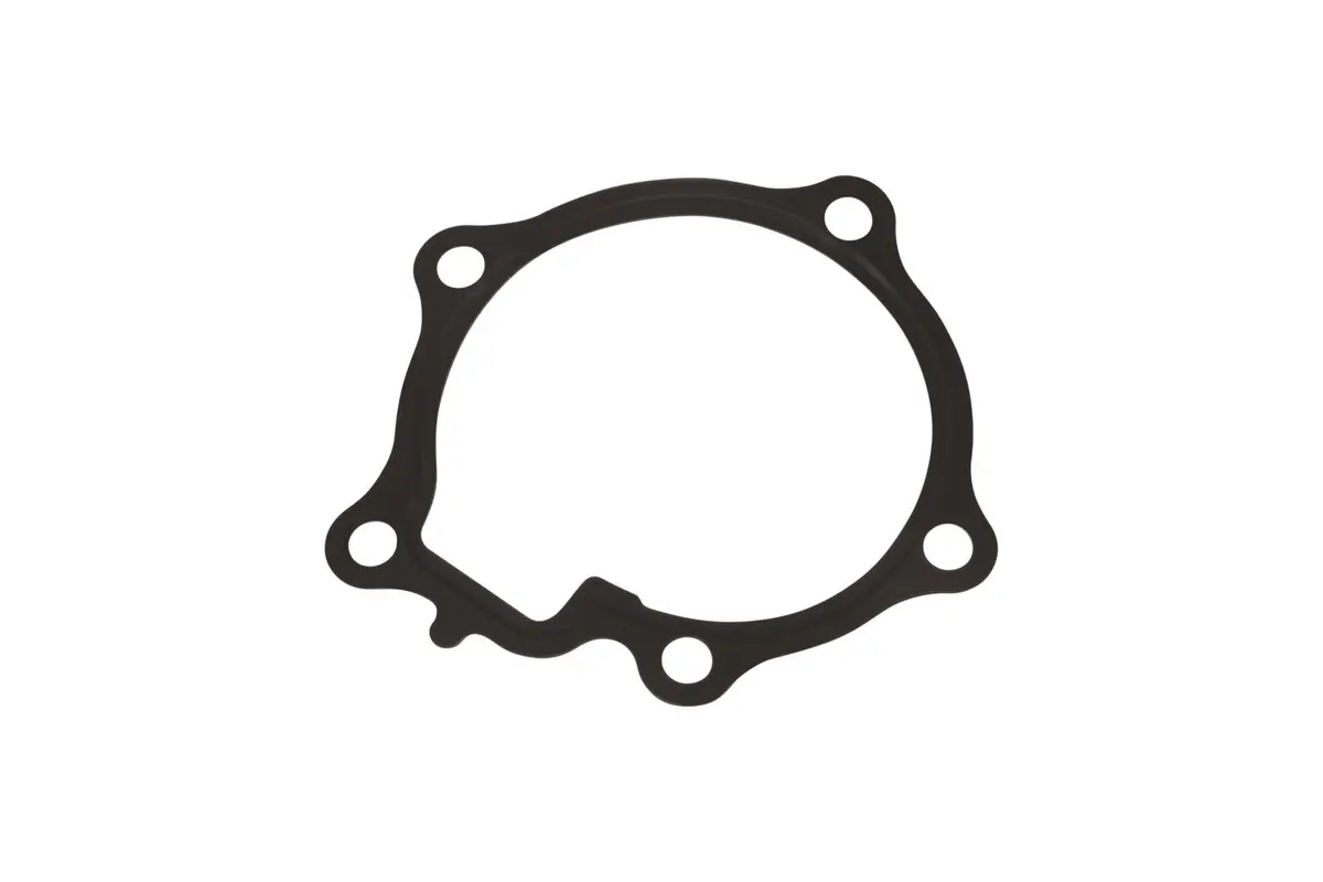 JLG Part # 7026201 | GASKET, WATER PUMP, EA