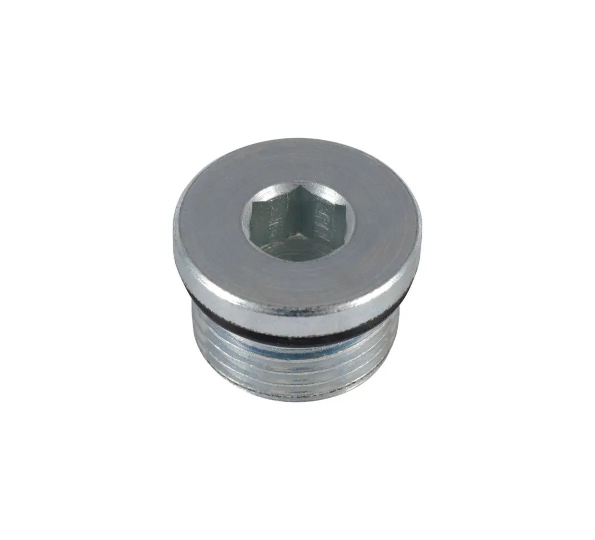 JLG Part # 7026980 | PLUG, SOCKET HEAD W/O-RING, EA