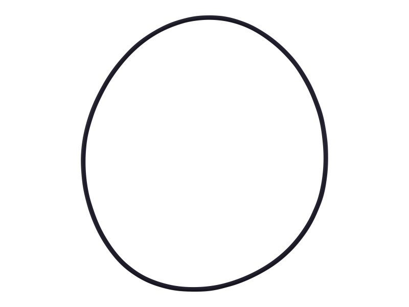 JLG Part # 7029304 | O-RING, EA