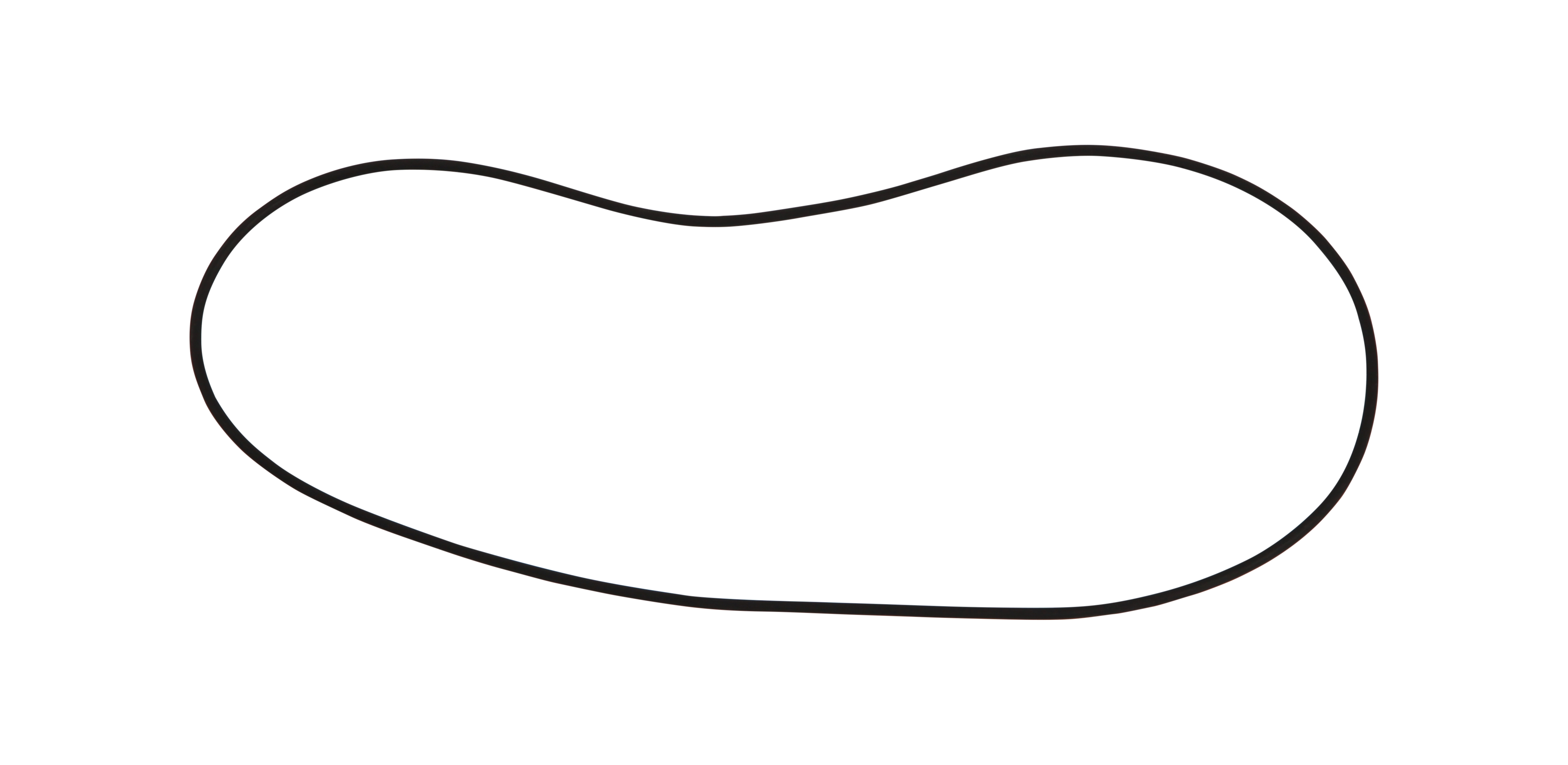 JLG Part # 80304462 | O RING, EA