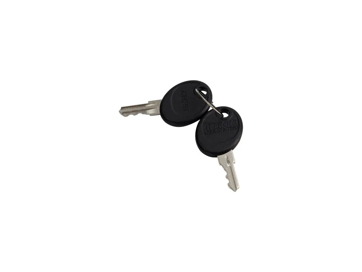 JLG Part # 8342813 | KEYS-SET OF TWO ON ONE RING, EA