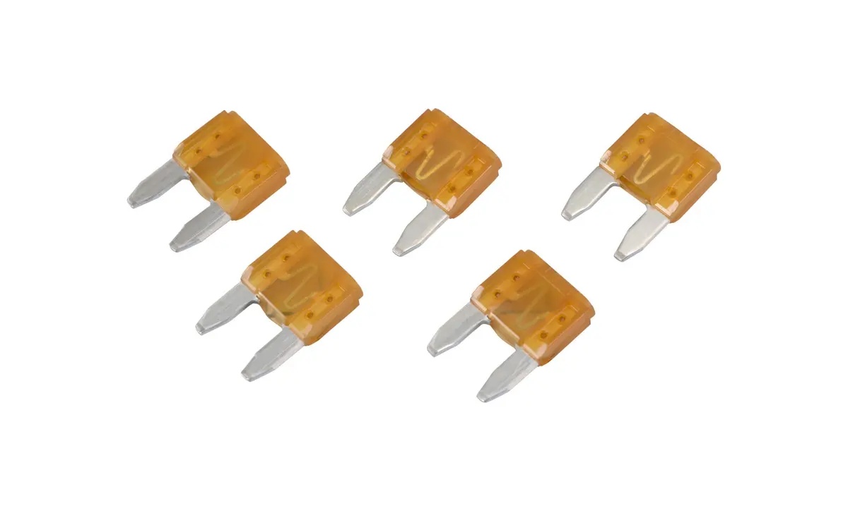 JLG Part # CW062897-002 | CW-FUSE 5AMP 5PK, PK