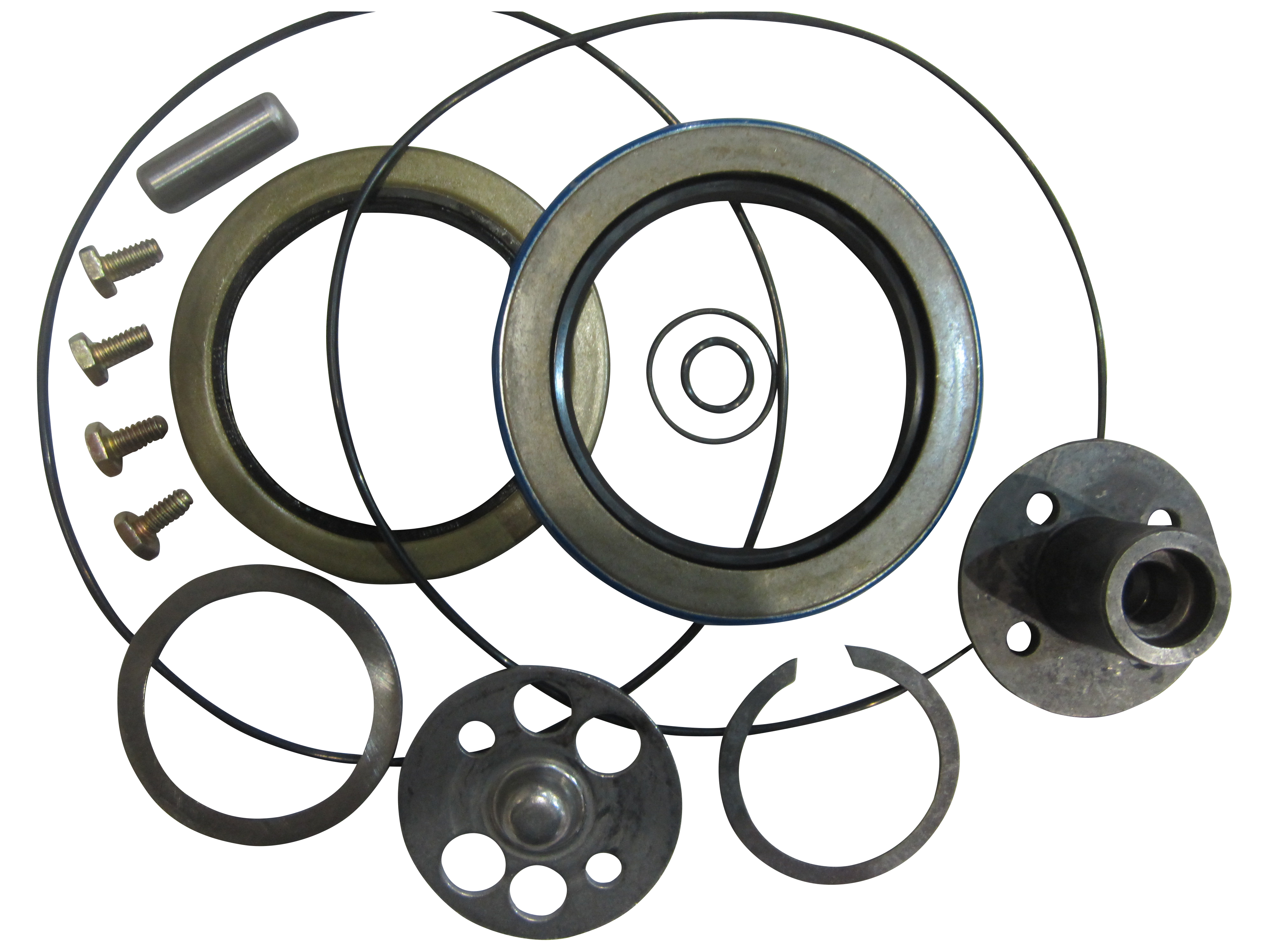 JLG Part # 2900137 | KIT,SEAL FAIRFIELD TORQUE HUB/, EA