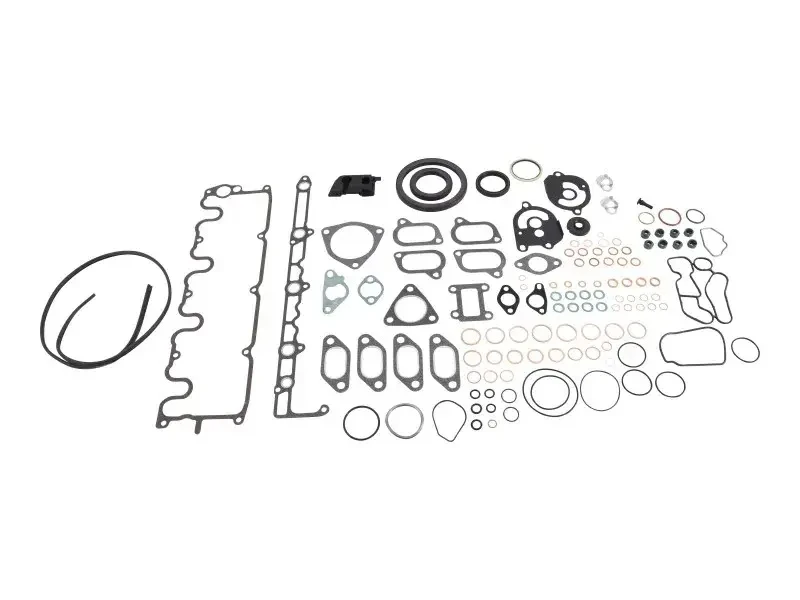 JLG Part # 70004289 | KIT, GASKET/SEAL, EA