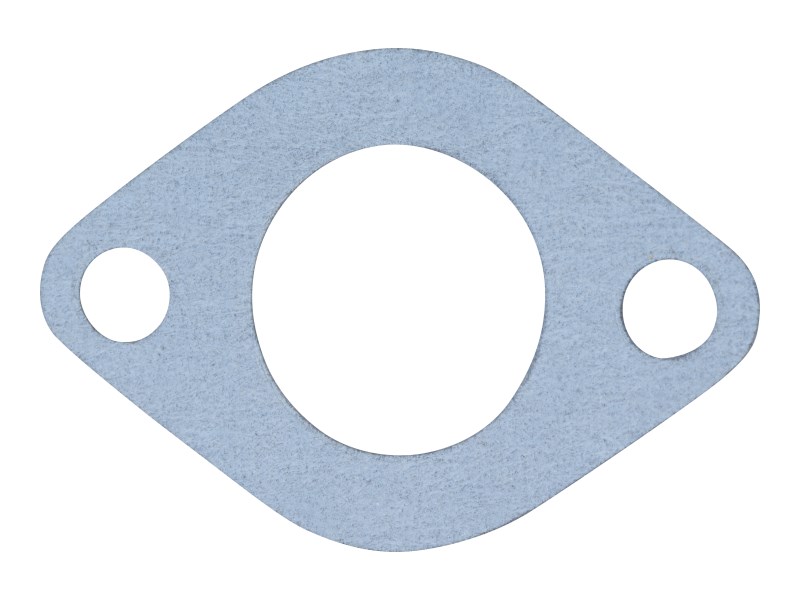 JLG Part # 70025350 | GASKET, OIL DRAIN, EA