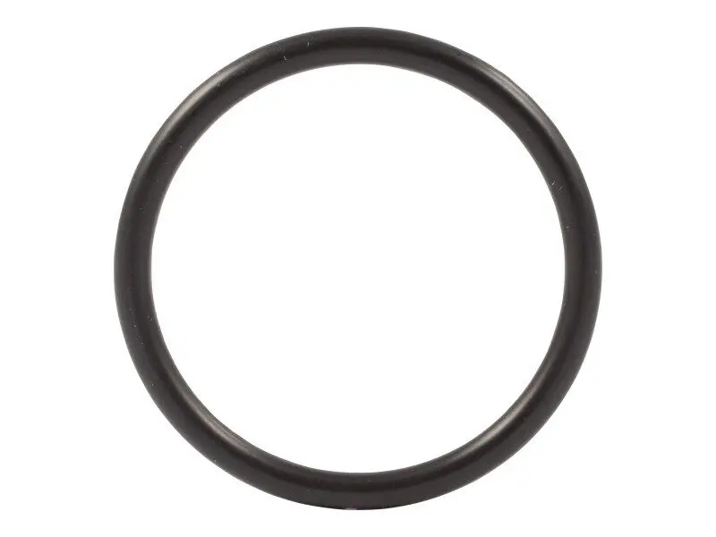 JLG Part # CM5282819 | CM-O-RING,WATER PUMP TO THERM, EA