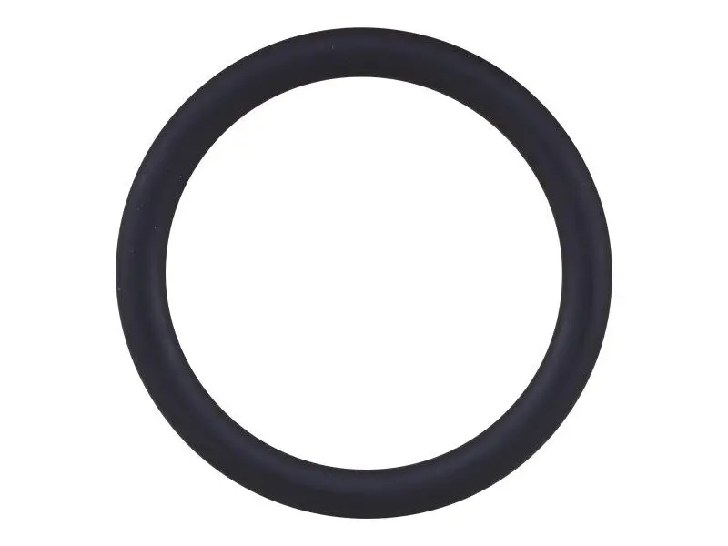 JLG Part # DTZ4132946 | DTZ-SEALING RING, WATER PUMP, EA