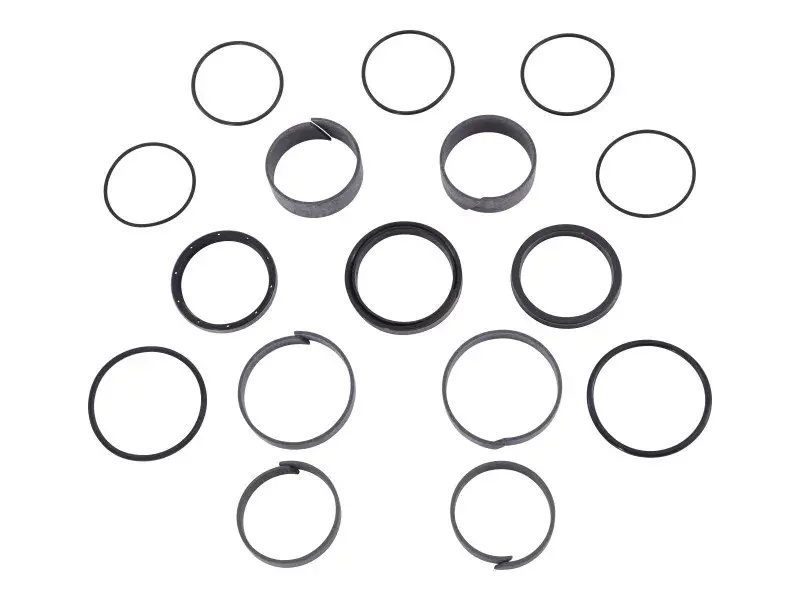 JLG Part # 1001188843 | SEAL,KIT CYL, EA