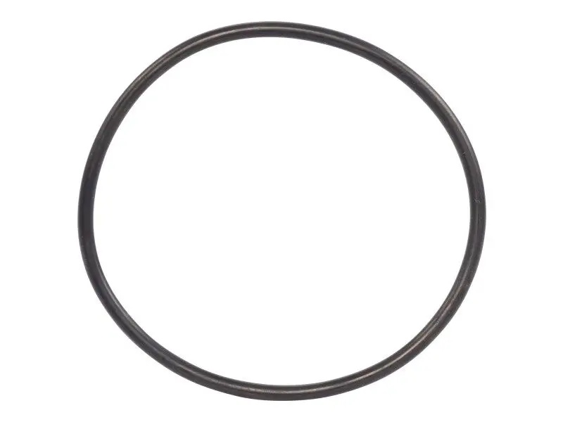 JLG Part # 70002813 | SEAL, OIL FILTER HEAD, EA