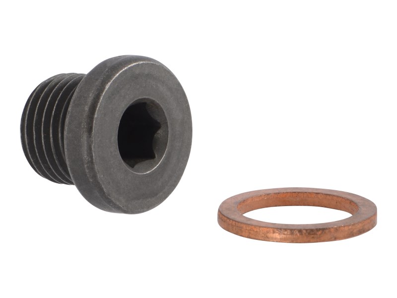 JLG Part # 70005020 | PLUG W/WASHER, EA