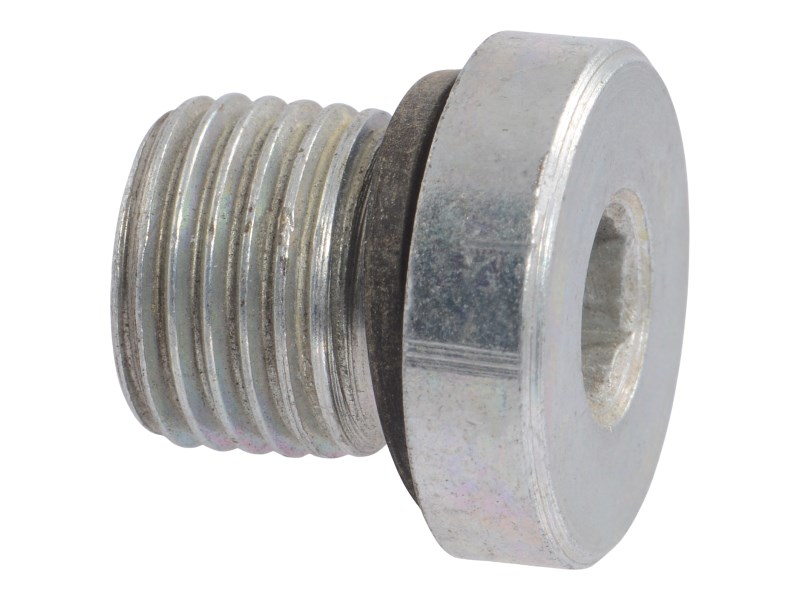 JLG Part # 70024262 | PLUG, 1/4", EA