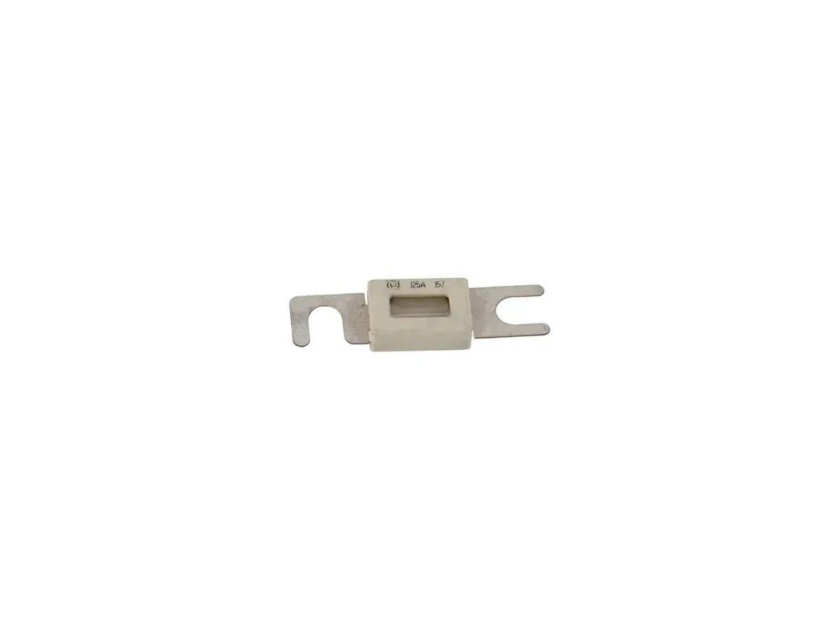 JLG Part # 1001170484 | FUSE,125 AMP, EA